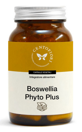 BOSWELLIA PHYTO PLUS 100 CAPSULE