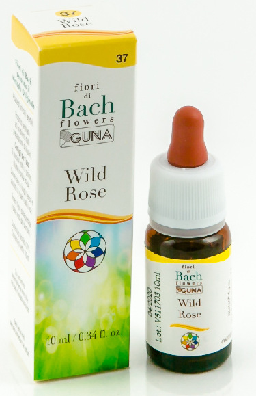 CENTER ESS WILD ROSE BACH 20ml