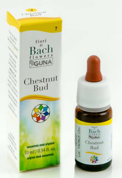 CHESTNUT BUD FIORI DI BACH 7 10ml