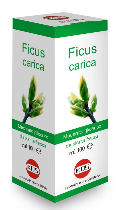 FICUS CARICA MACERATO GLICERICO 100ml