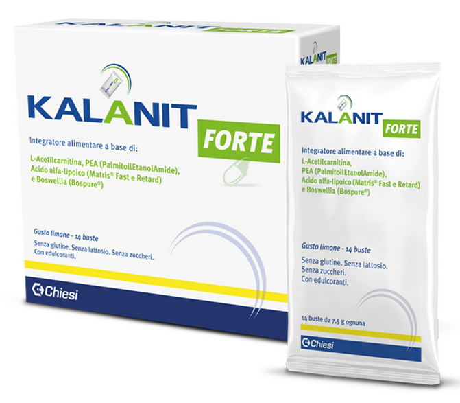 KALANIT FORTE 14 BUSTINE