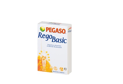 PEGASO REGOBASIC 12 Buste