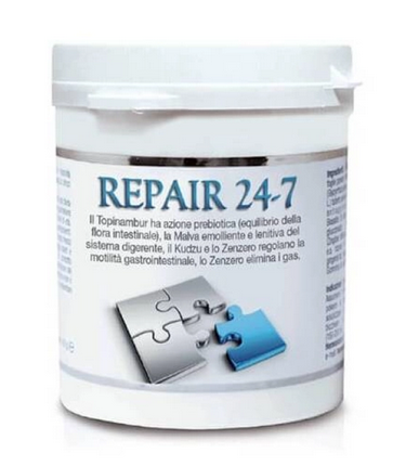 REPAIR 24 7 INTEGRATORE ALIMENTARE 100g