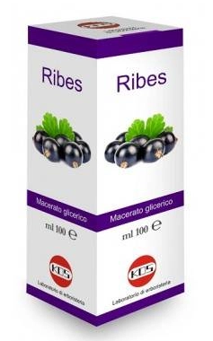 RIBES NIGRUM MACERATO GLICERICO 100ml