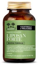 LIPOSAN FORTE 60 CAPSULE